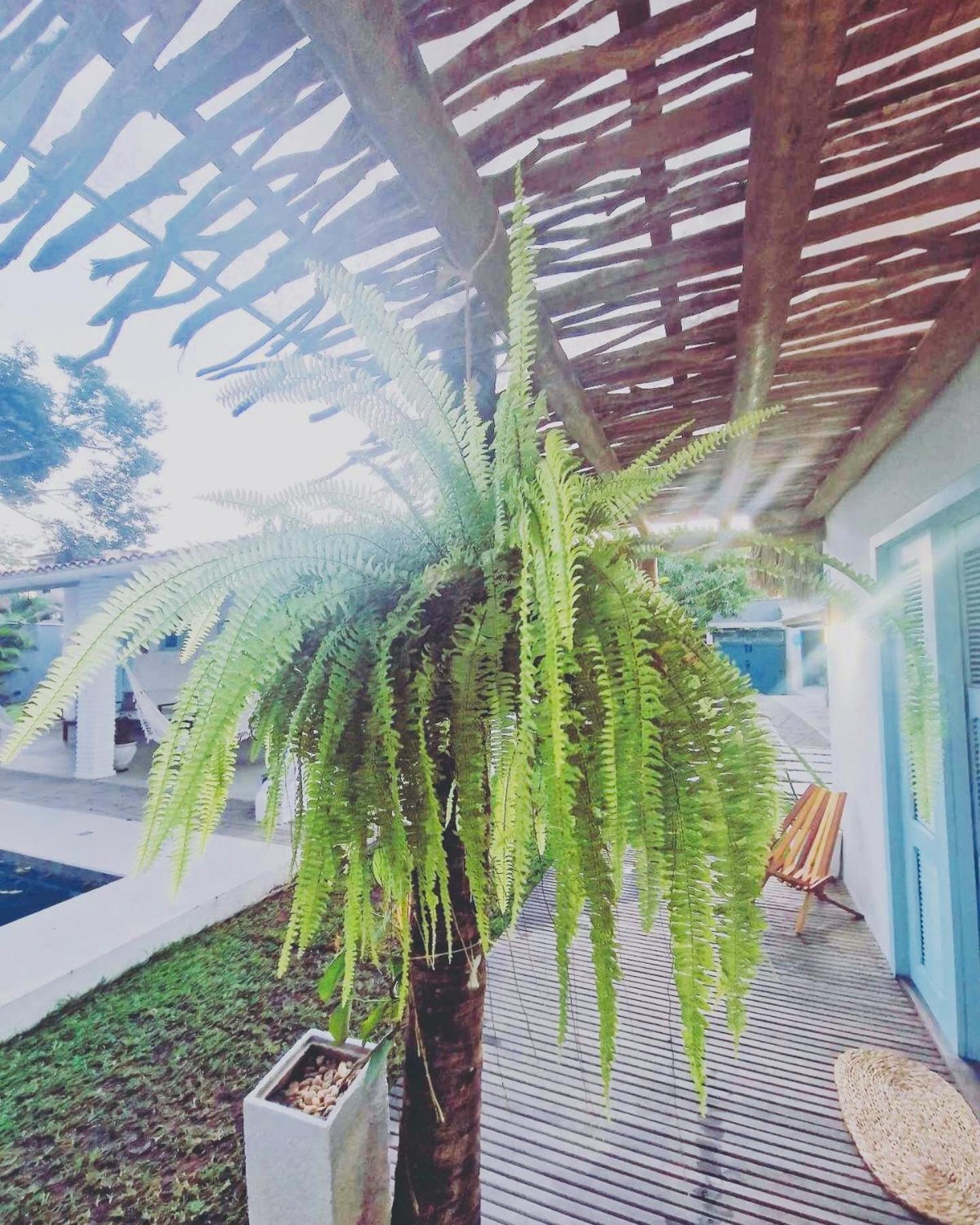Villa Parazinho Paracuru Exteriér fotografie